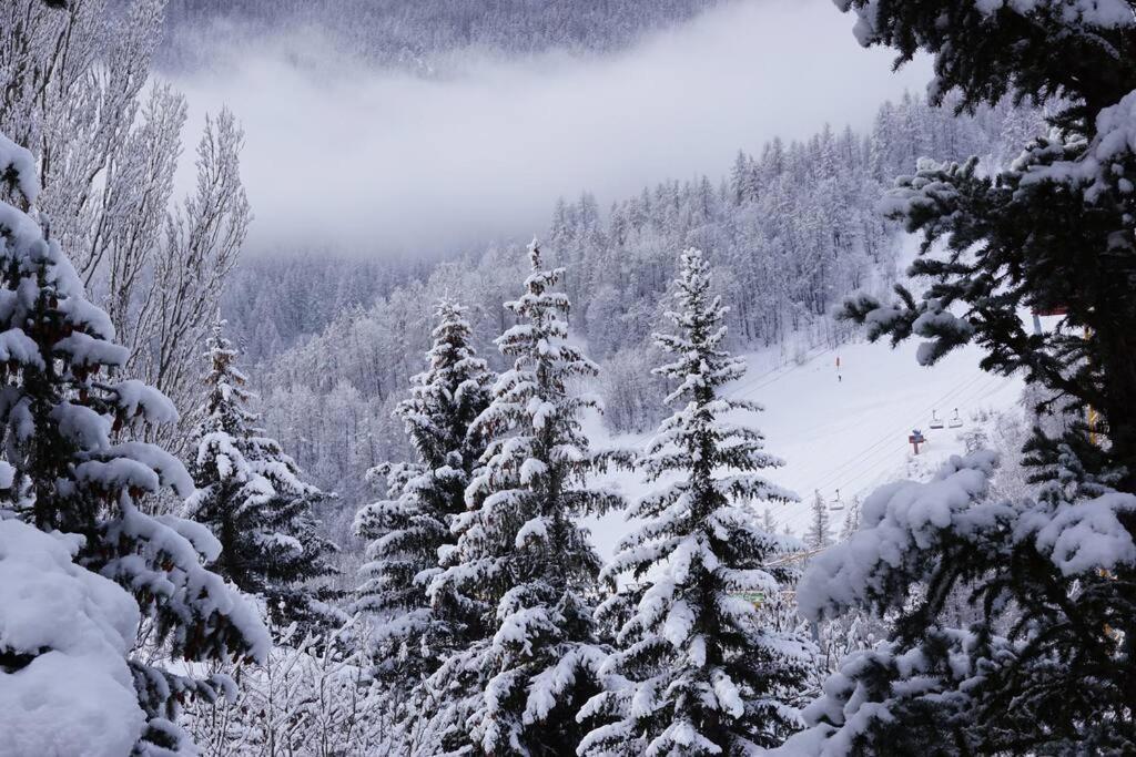 Serre Chevalier,Chantemerle,T2 Proche Pistes Saint-Chaffrey Dış mekan fotoğraf